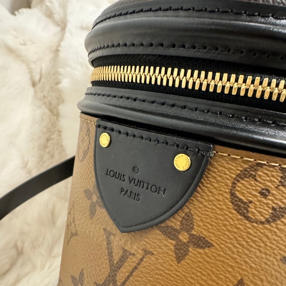 Louis Vuitton Brown Monogram Cannes Bag - Picture 2 of 13